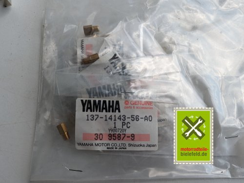 PXL_20240523_094615685